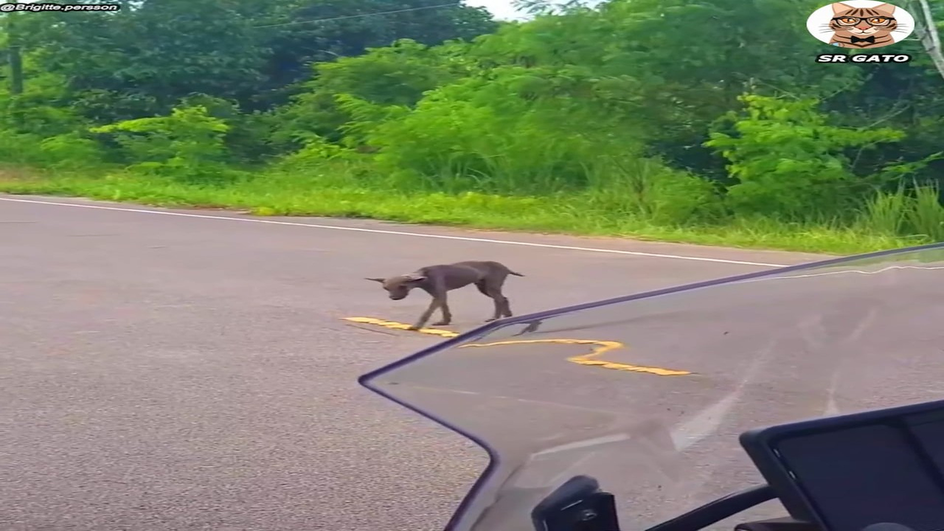 Full Video : H1807025_Lleva DIAS Caminando y Paso Esto