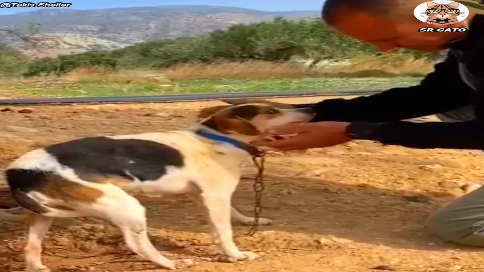Full Video : H1807026_Toda su Vida estuvo Aquí