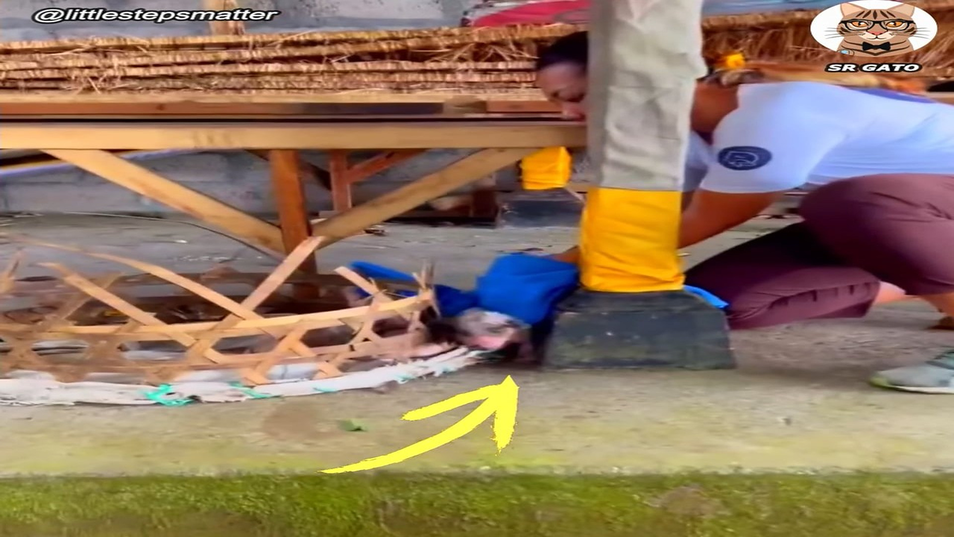 Full Video : H1807016_Encontrados en una Vieja Canasta