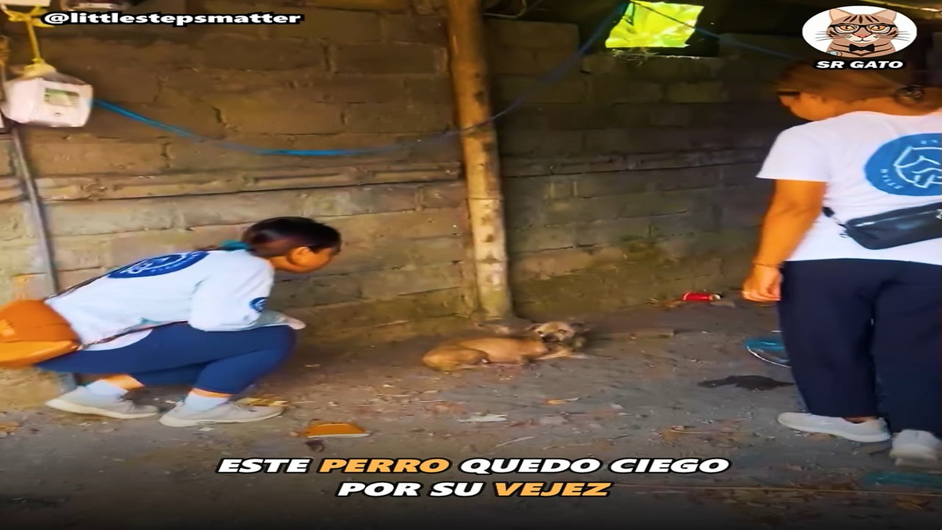 Full Video : H1807015_Lo Olvidaron por estar VIEJO Historia de Alfie