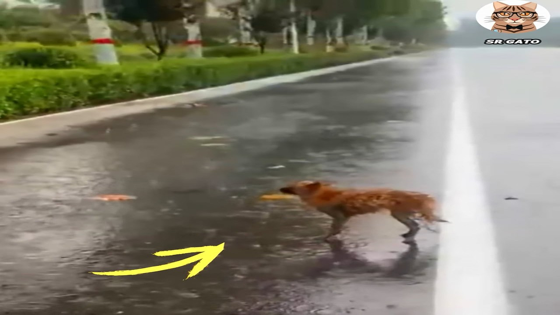 Full Video : H1807014_En Medio de la LLUVIA No sabia que Hacer
