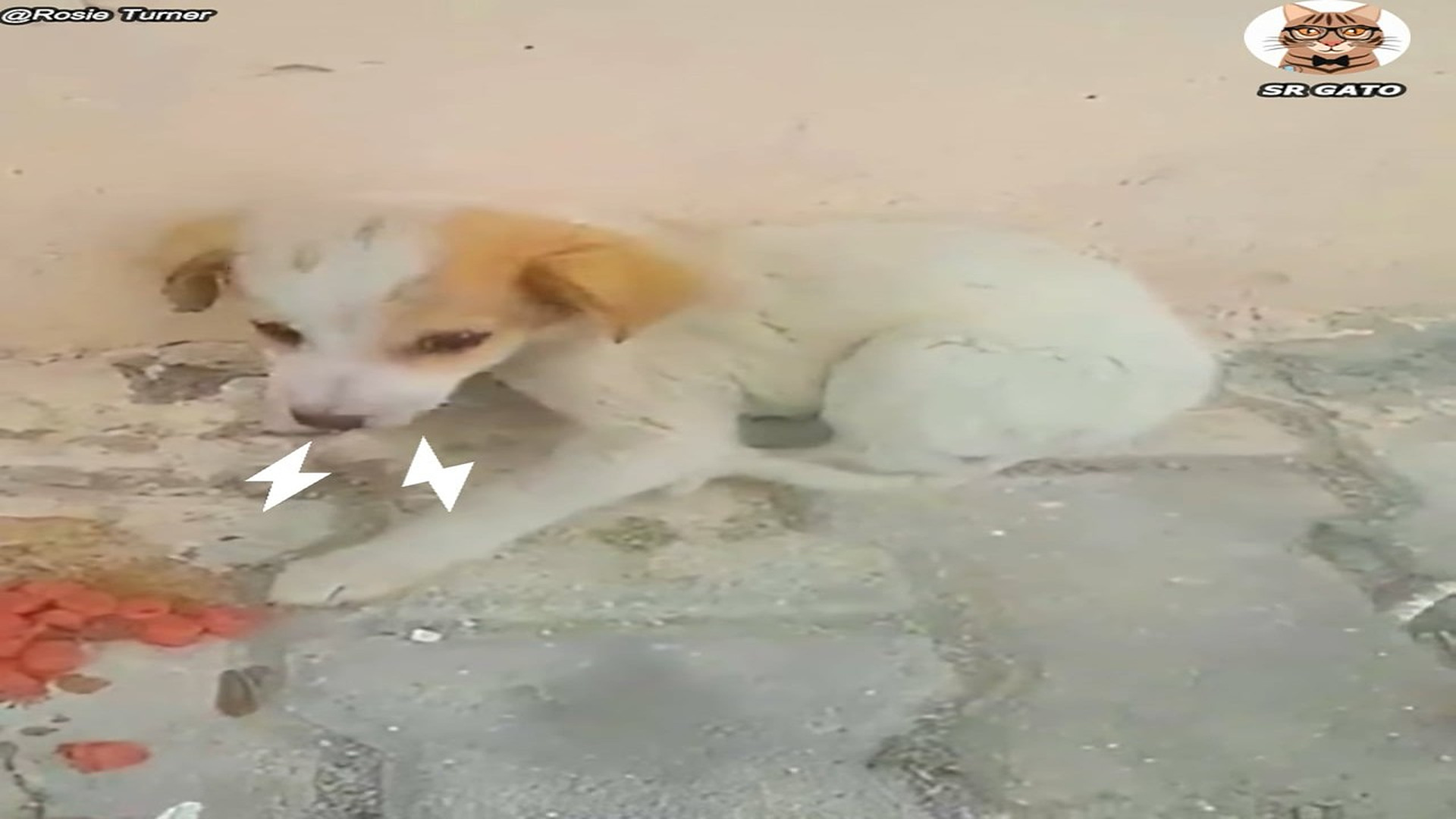 Full Video : H1807020_NO Quiere se Acariciado y Todo cambio