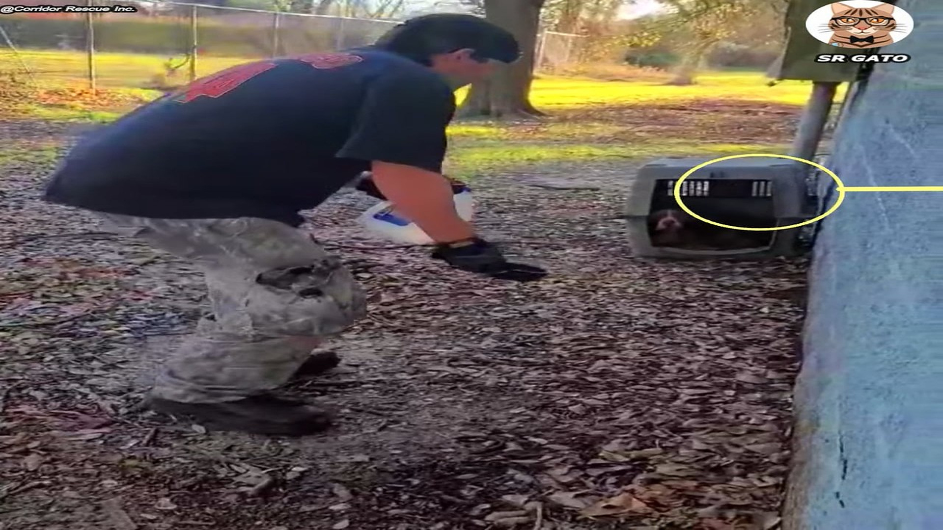 Full Video : H1807011_Sola en un Parque y Todo Cambio