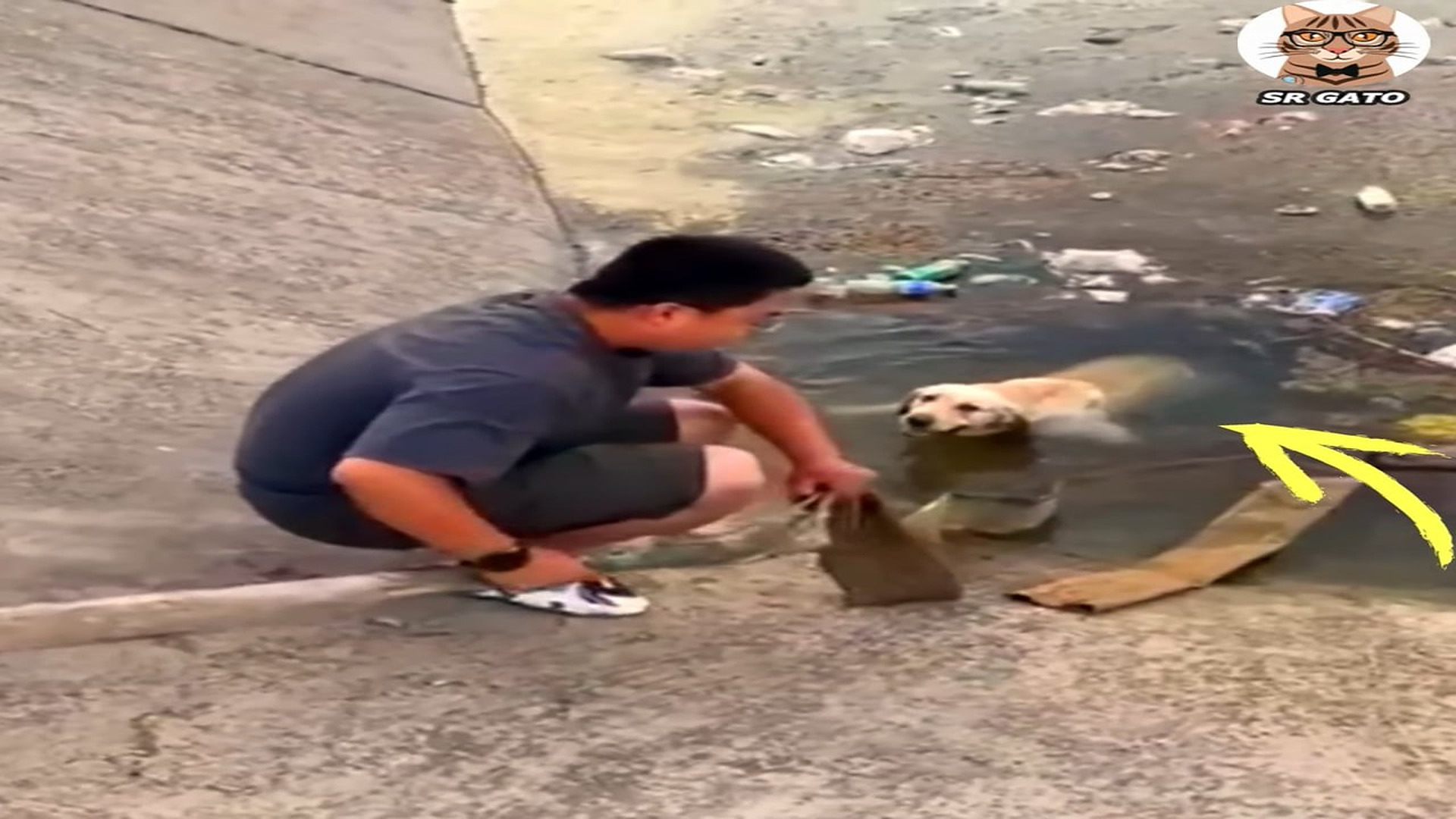 Full Video : H1807008_Teddy Paso Horas Intentando salir y NO pudo