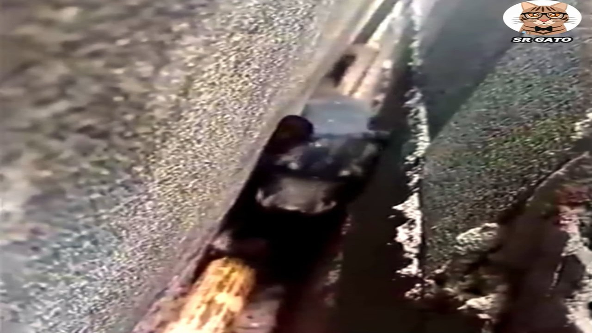 Full Video : H1907017_Buenas Acciones Salvan VIDAS