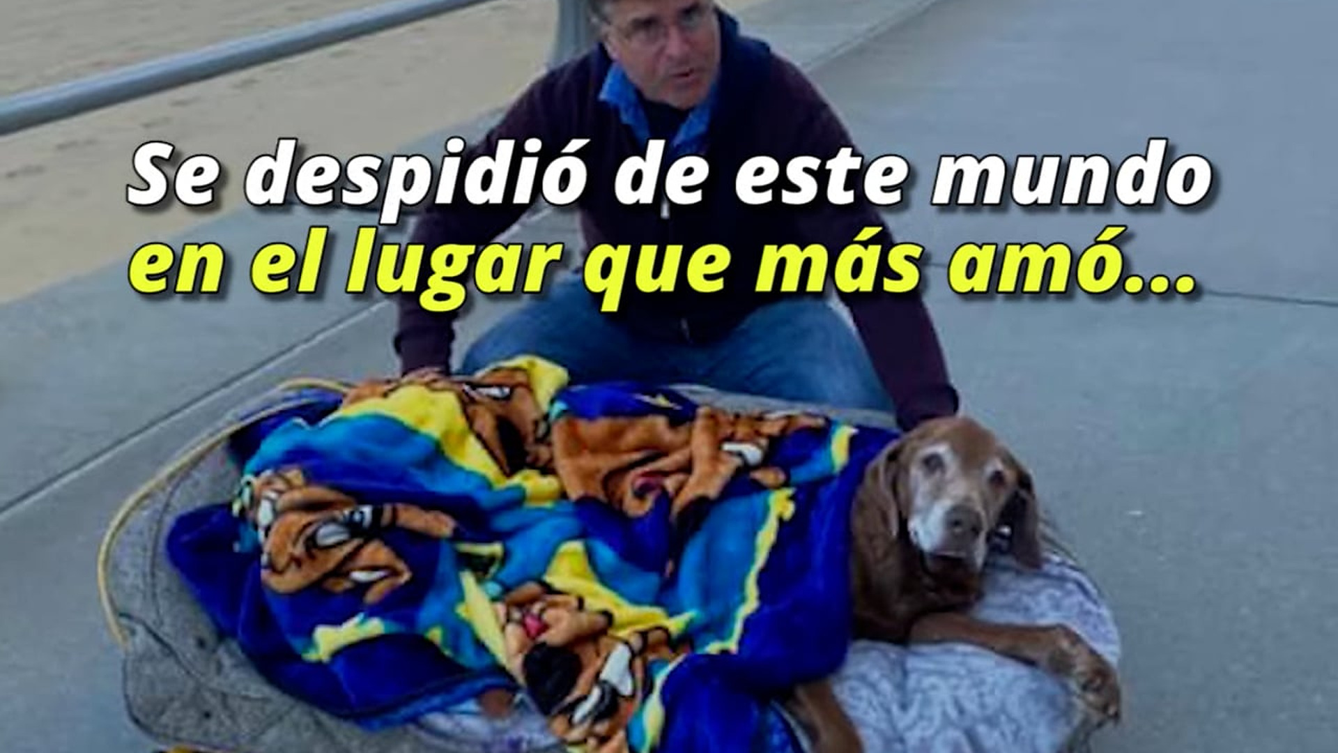 Full Video : H1907008_Esta perrita visitó su playa favorita una última vez