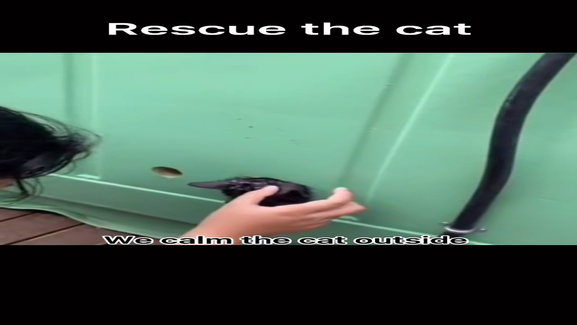 Part 2 : H2007004_Rescue the injured kitten #fyp #foryou #TikTok_part2