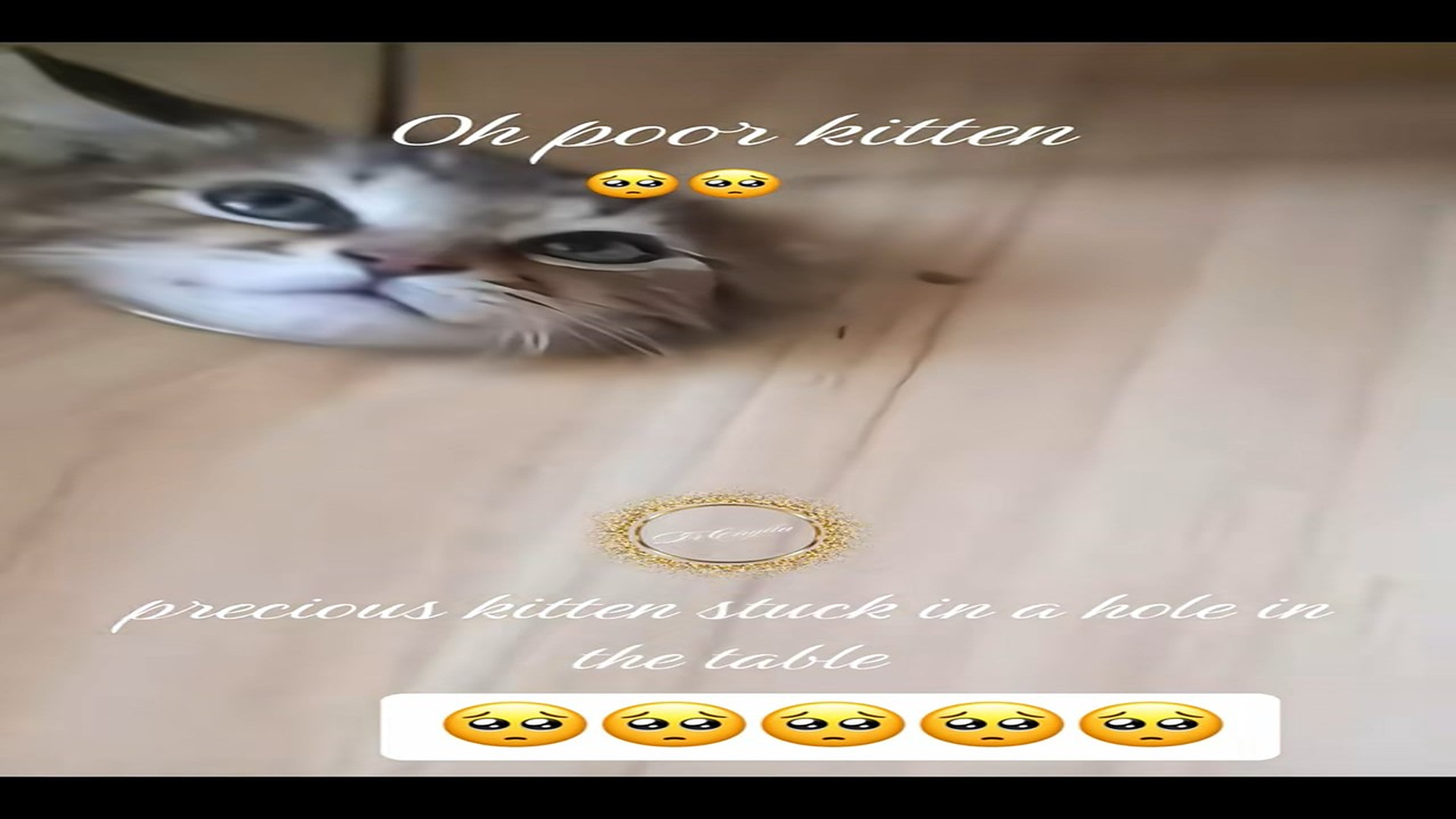 Part 2 : H2007005_precious kitten stuck in a hole in the table#kitten #rescue #rescueanimals #lover #animalsoftiktok_part2