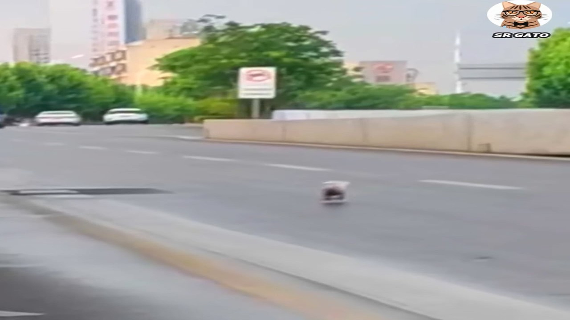 Full Video : H2007012_Corre en Busca de su Familia y Llego el AMOR