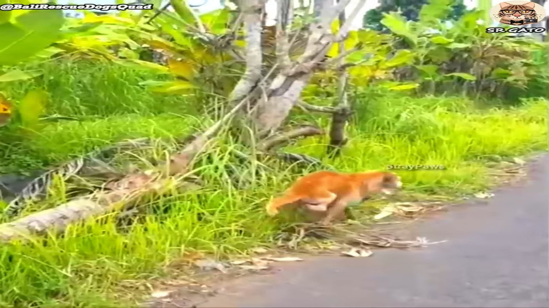 Full Video : H2107020_Después de 3 años conoció que es recibir amor