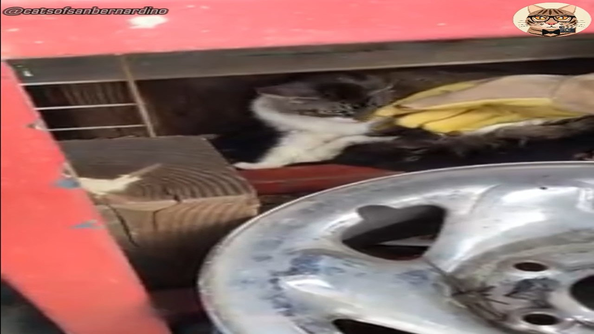 Full Video : H2107027_Ella NO confiaba en nadie por esta razon..