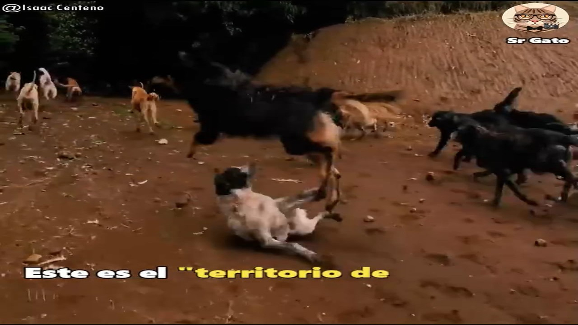 Full Video : H2107025_Lo mas hermoso que veras hoy