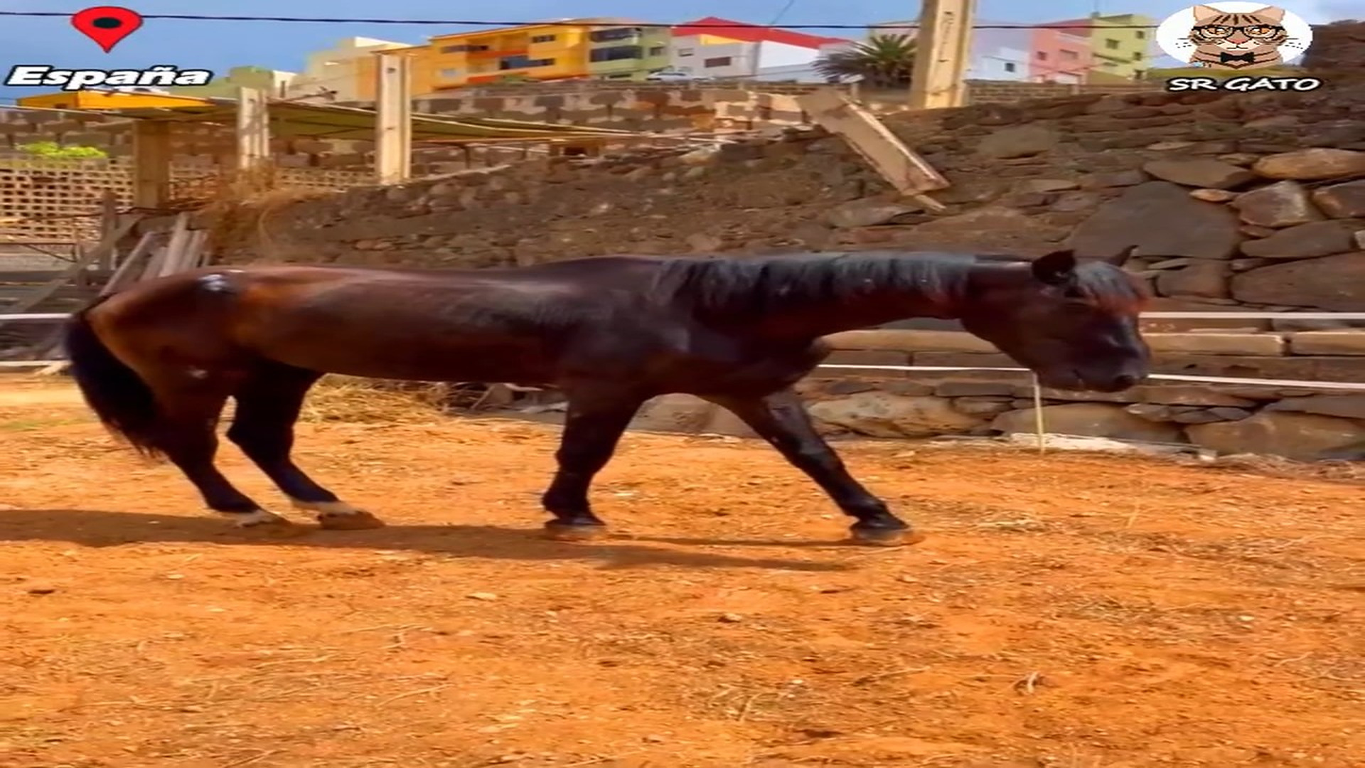 Full Video : H2107009_Condado Solo necesitaba AMOR y Descanso