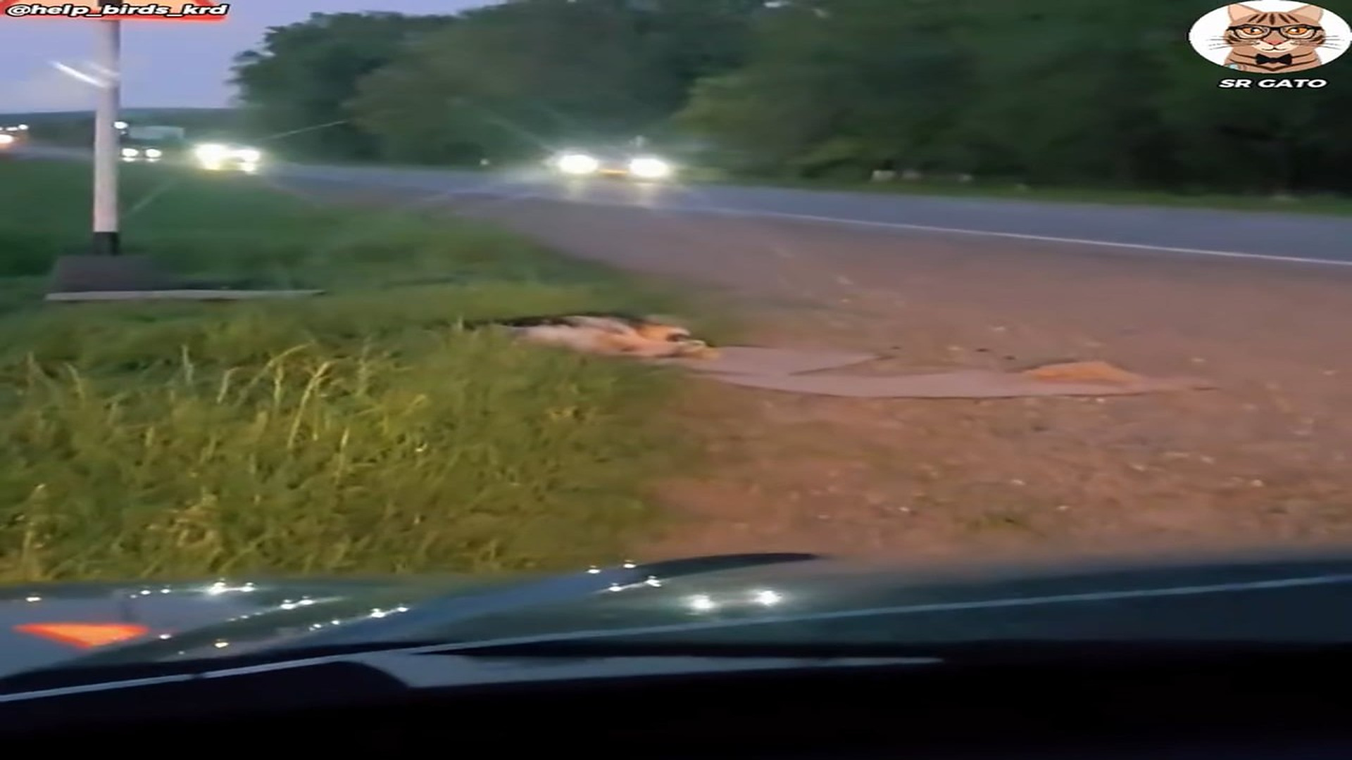 Full Video : H2207002_Espero a su DUEÑO Por Horas