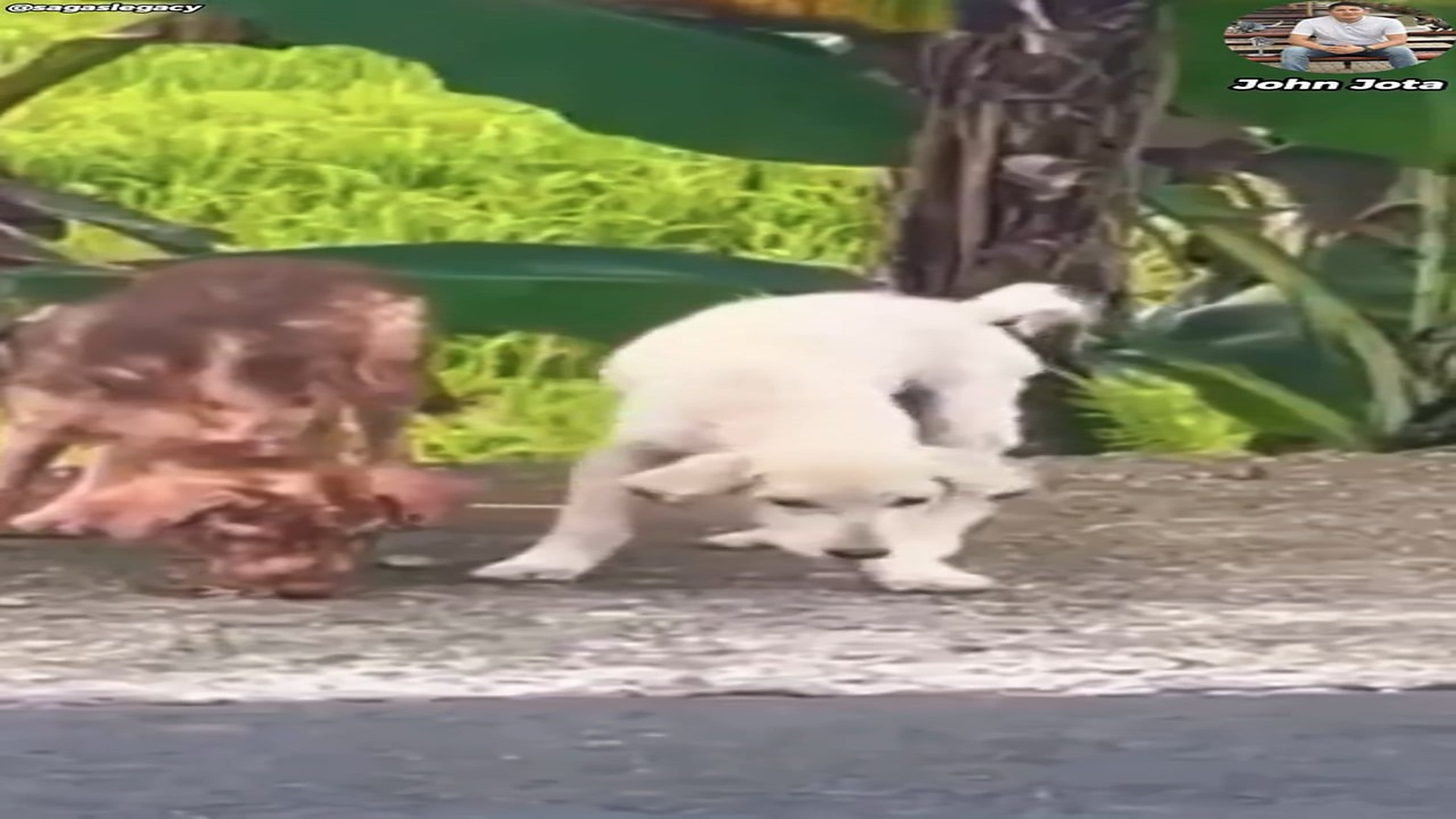 Full Video : H3007032_1.3K views 119 reactions De sobrevivir en la calle a descubrir lo que es el amor John Jota His