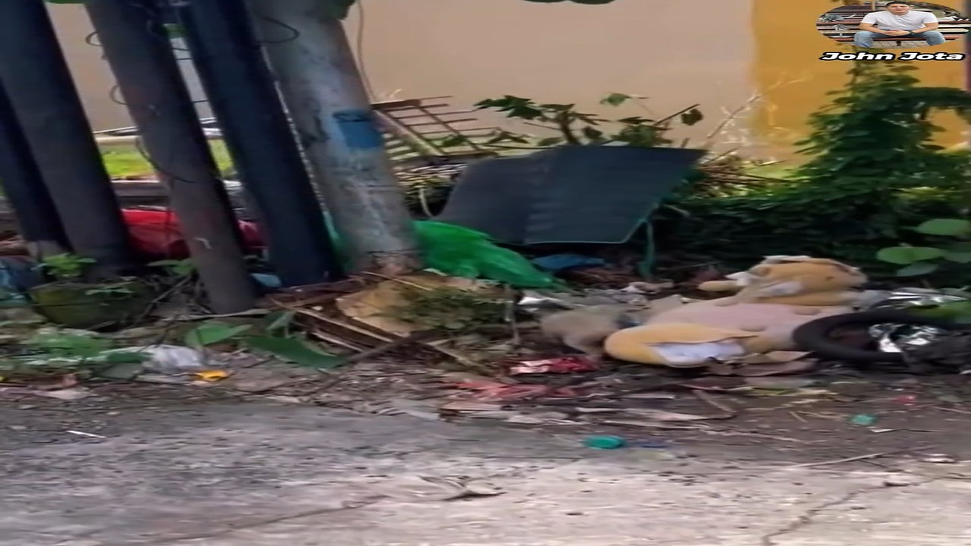 Full Video : H3007018_Solo era una bebé y la dejaron completamente sola