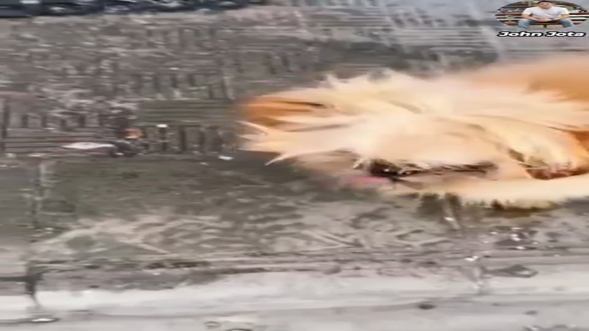 Full Video : H3107013_Esperó a quien lo abandonó hasta que alguien más llegó