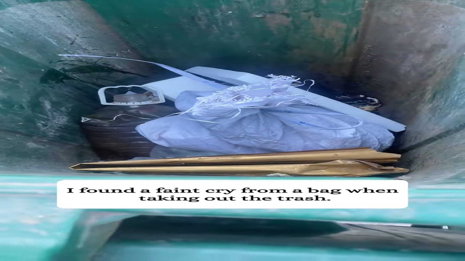 Full Video : H3107008_I saved a puppy was discarded in a trash can then #animals