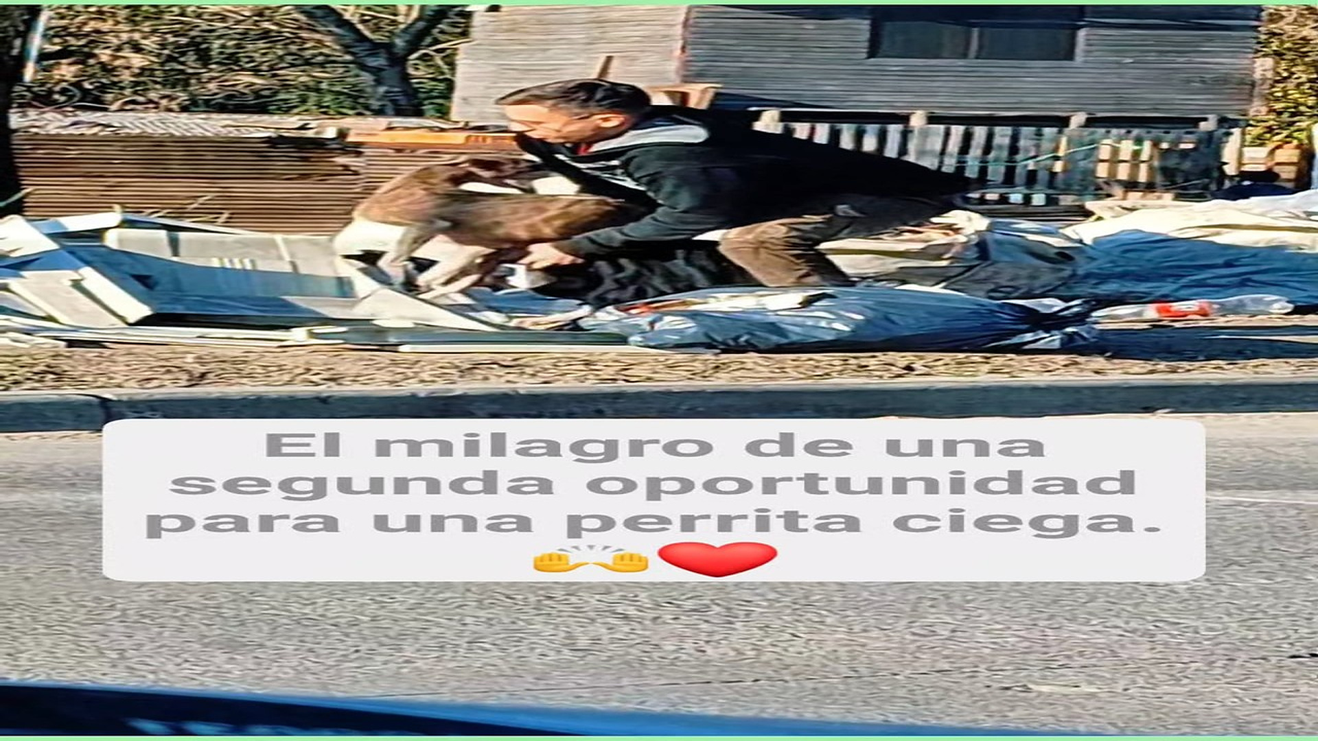 Full Video : H0108050_250K views 10K reactions Cuando el amor es más fuerte que la oscuridad Ella no puede ver el mund