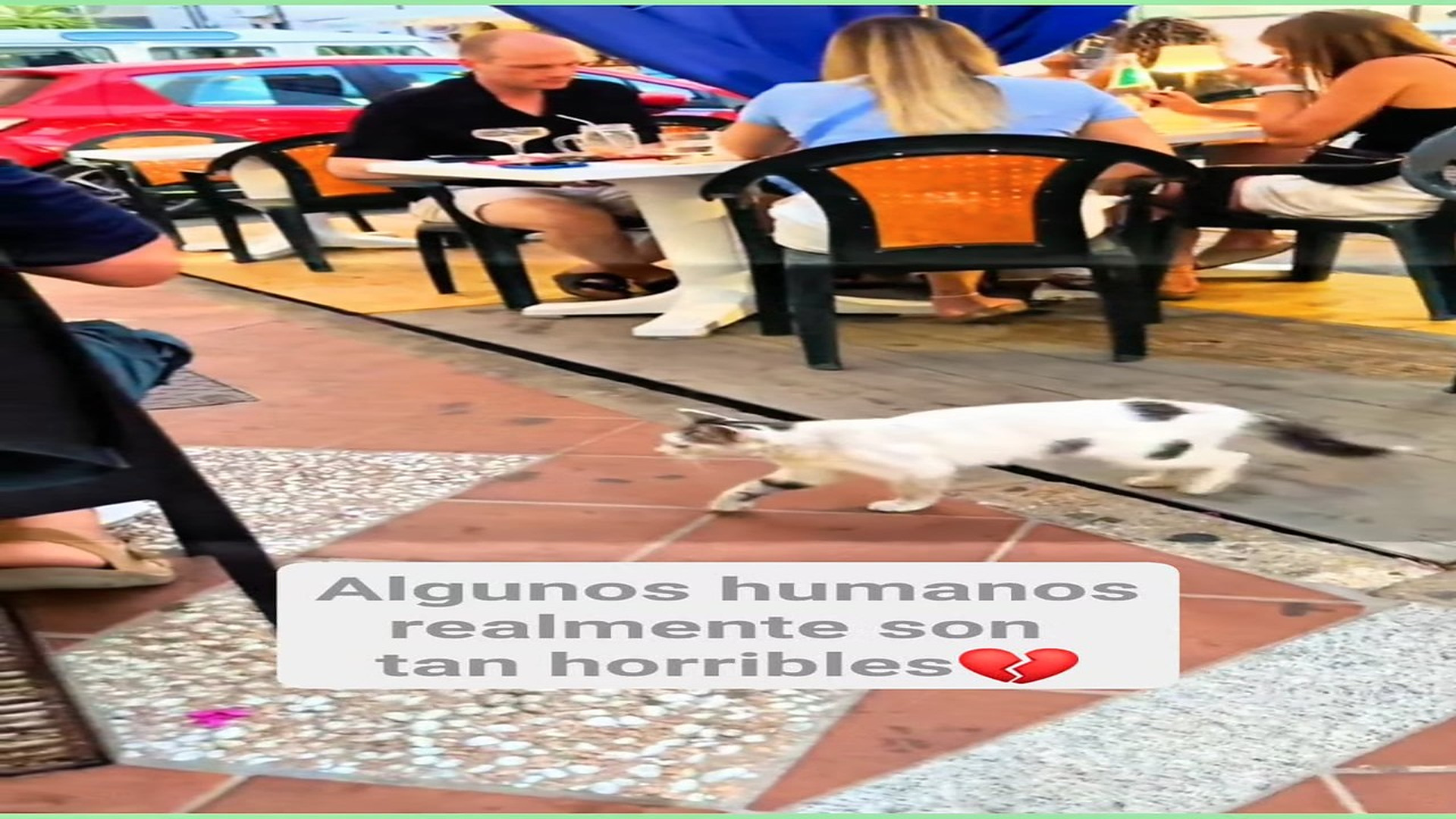 Full Video : H0608023_135K views 8.6K reactions Las personas que no quieren a los animales no tienen ningún tipo de co