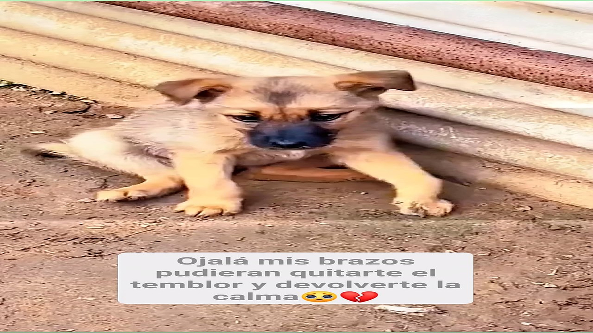 Full Video : H0608007_11K views 626 reactions Cada temblor tuyo me rompe el corazón El Oso 2.0