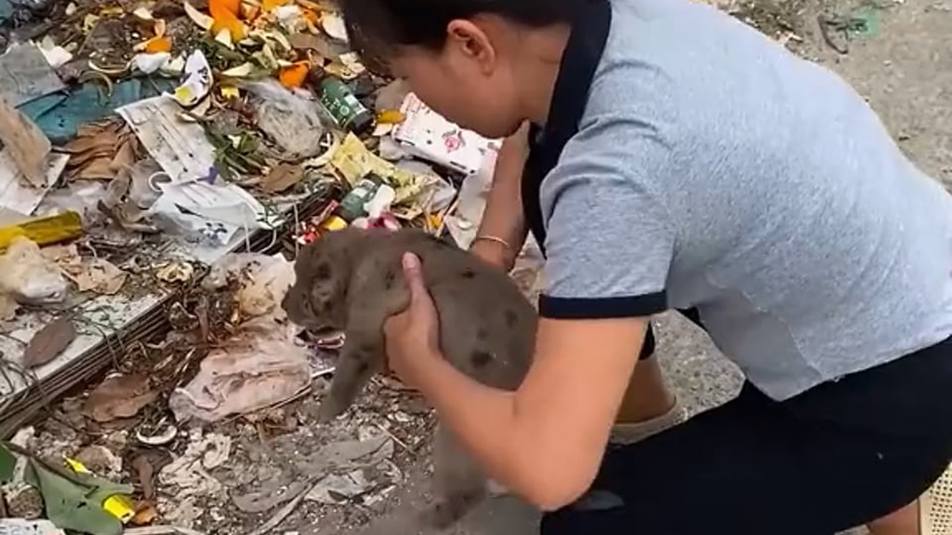 Part 2 : H0808015_Puppy sad when abandoned at the garbage dump #dog #dogsoftiktok #puppytiktok #petsoftiktok #animals_part2