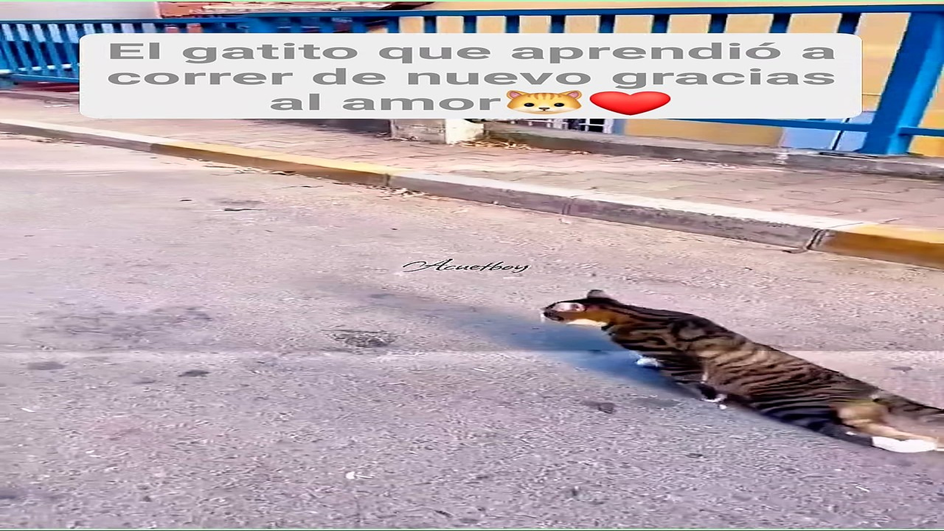 Full Video : H0808024_25K views 2.8K reactions Un corazón bondadoso puede cambiar más vidas de las que imagina. #fbl
