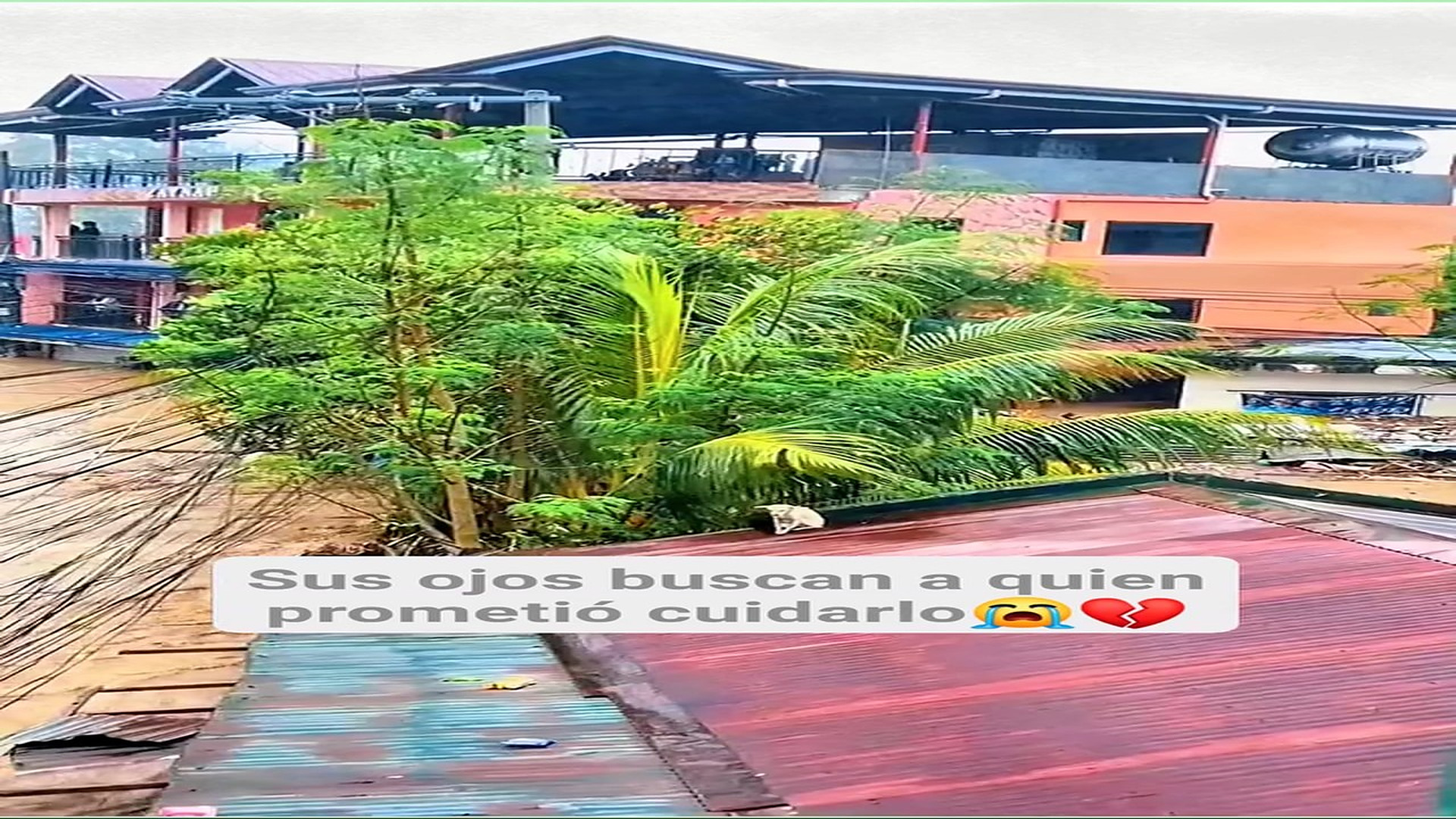 Full Video : H0808002_156K views 11K reactions Cada minuto que pasa, el agua sube y su esperanza depende de nosotros