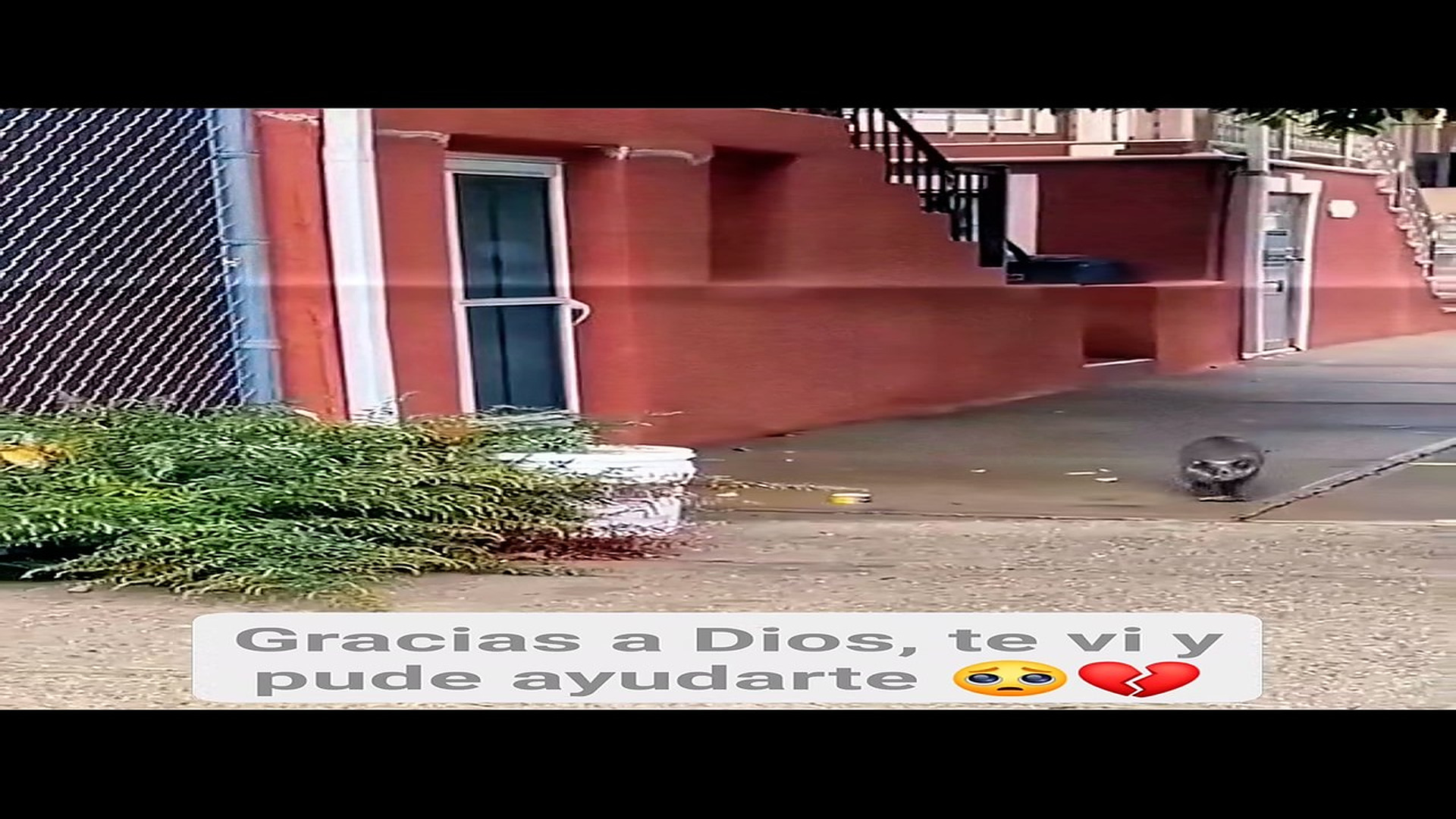 Full Video : H0808003_421K views 10K reactions Ahora está a salvo y estaremos juntos durante mucho, mucho tiempo El