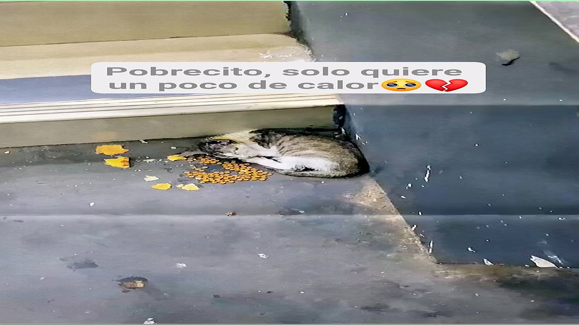 Full Video : H1108008_67K views 4.1K reactions Se quedó dormido abrazando el frío, porque nadie lo abrazó a él El