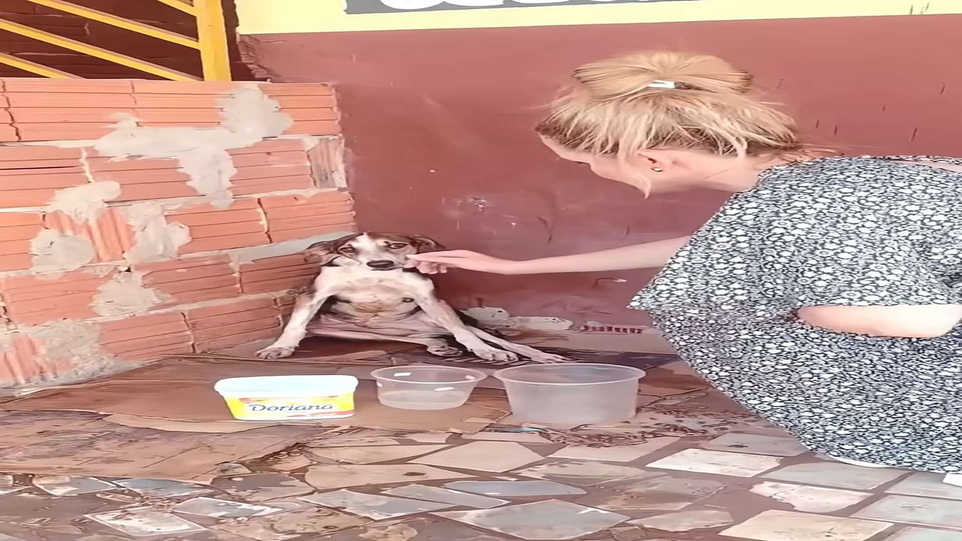 Full Video : H1308028_He Was Found On The Road Alone But His Broken Body Still Held On To A Small Spark of Hope