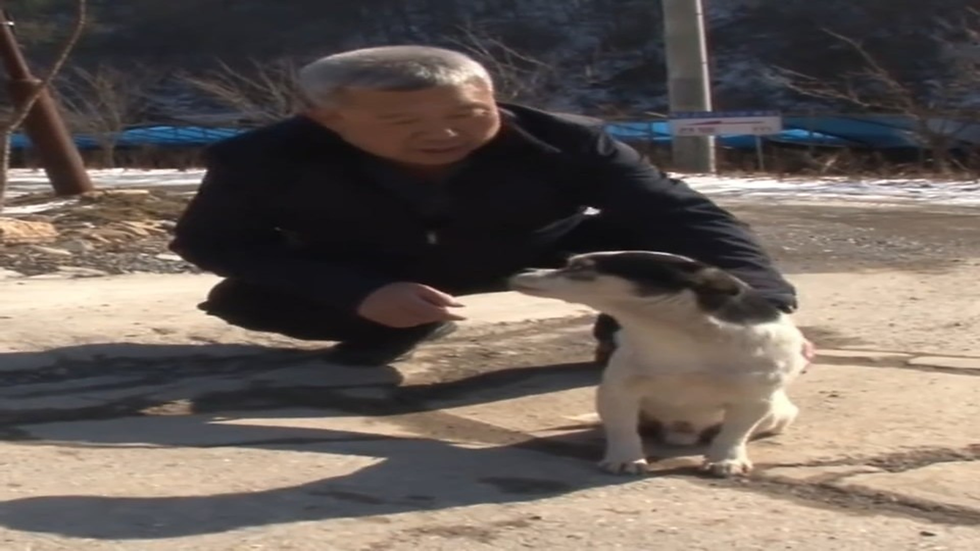 Part 2 : H1408004_What Happens to a Dog After Being Tossed Out into the Middle of Nowhere in Freezing Cold Weather #re_part2