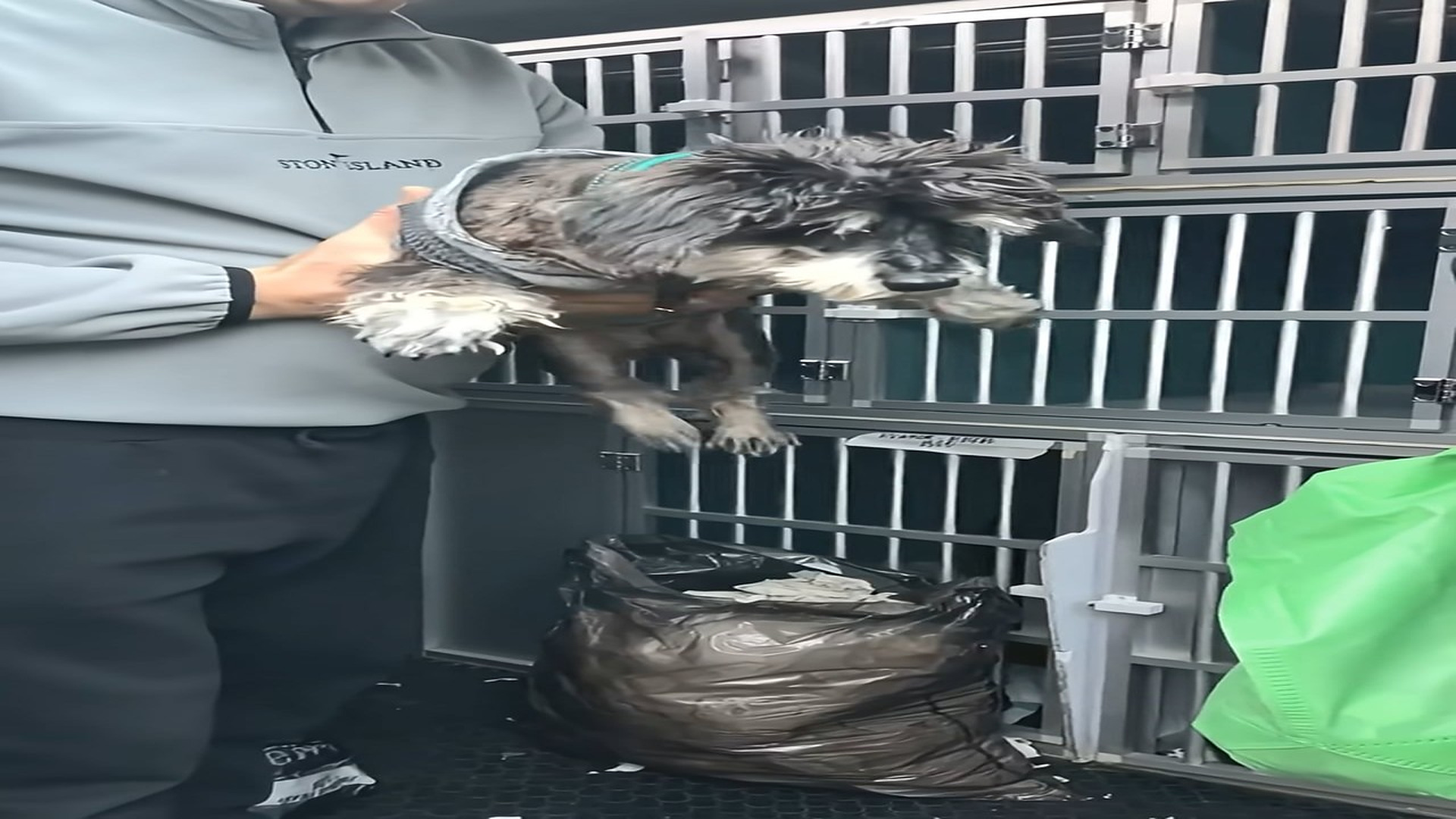 Full Video : H1408015_She was Treated as Nothing and Left to Suffer Until Someone Finally Cared