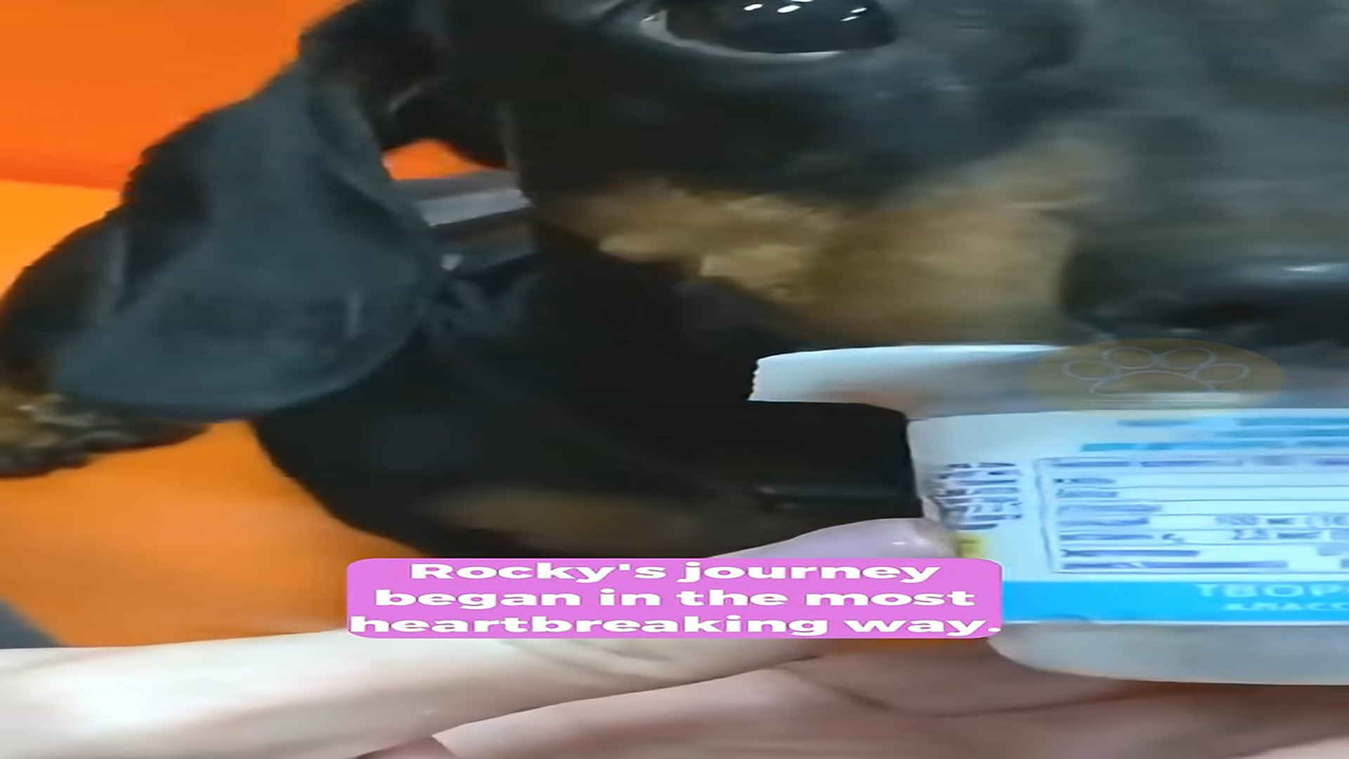 Full Video : H1508013_She Was Abandoned When She Could Not Walk and What Happened Next is Hope
