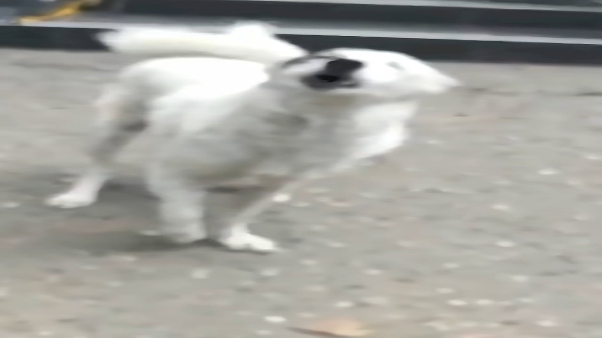 Full Video : H1508006_She Lost Her Sight and Her Family Yet Still Chose to Trust and Love Again