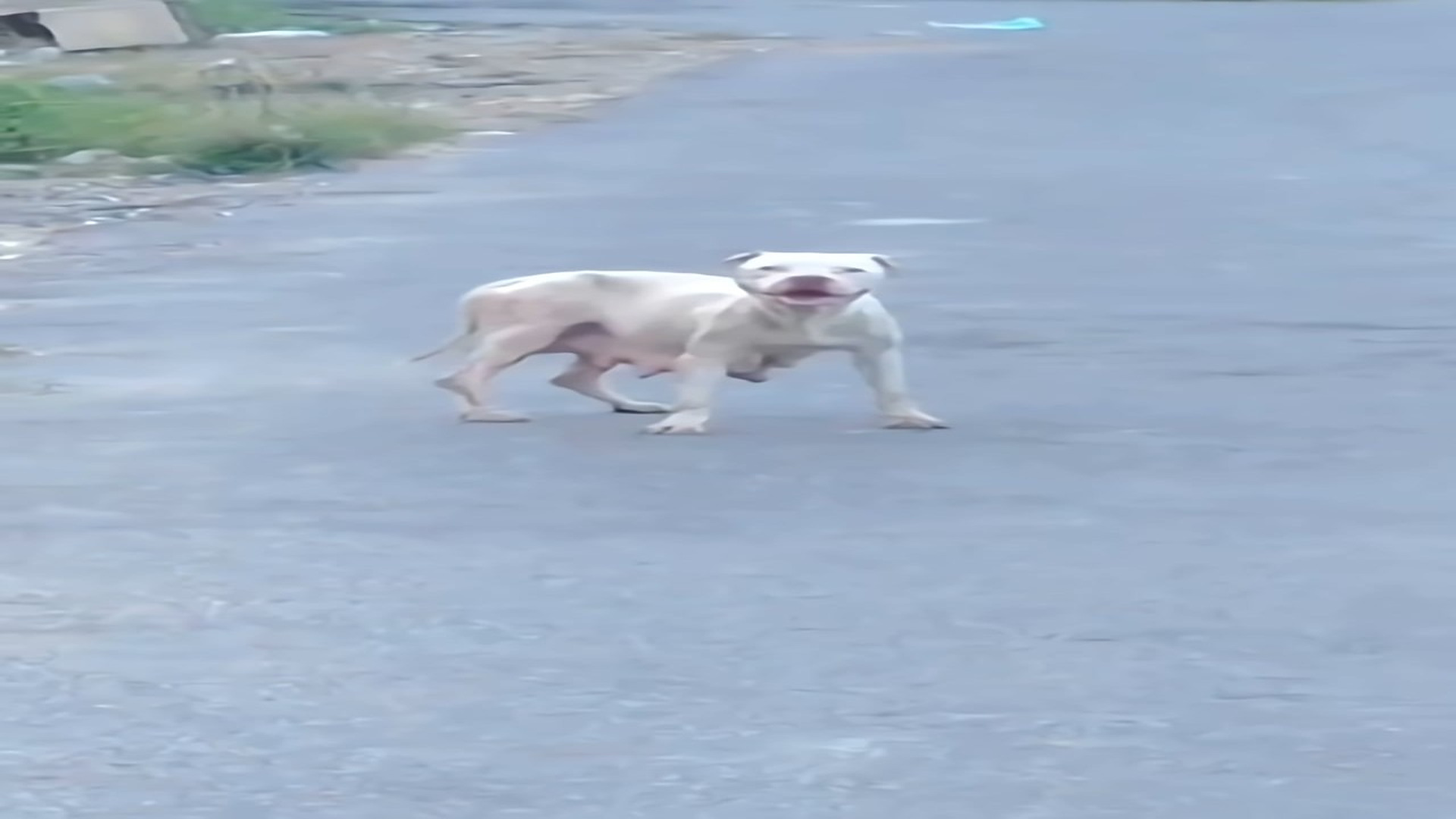 Full Video : H1508029_She Gave Birth then Was Abandoned But a Grieving Heart Recognized Her As a Sign from Above