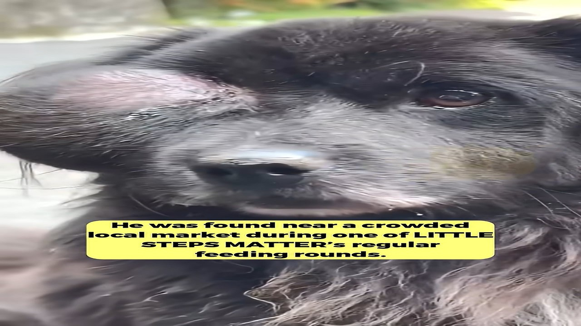 Full Video : H1608028_He Carried Pain Every Day Until a Rescue Team Finally Lifted His Burden