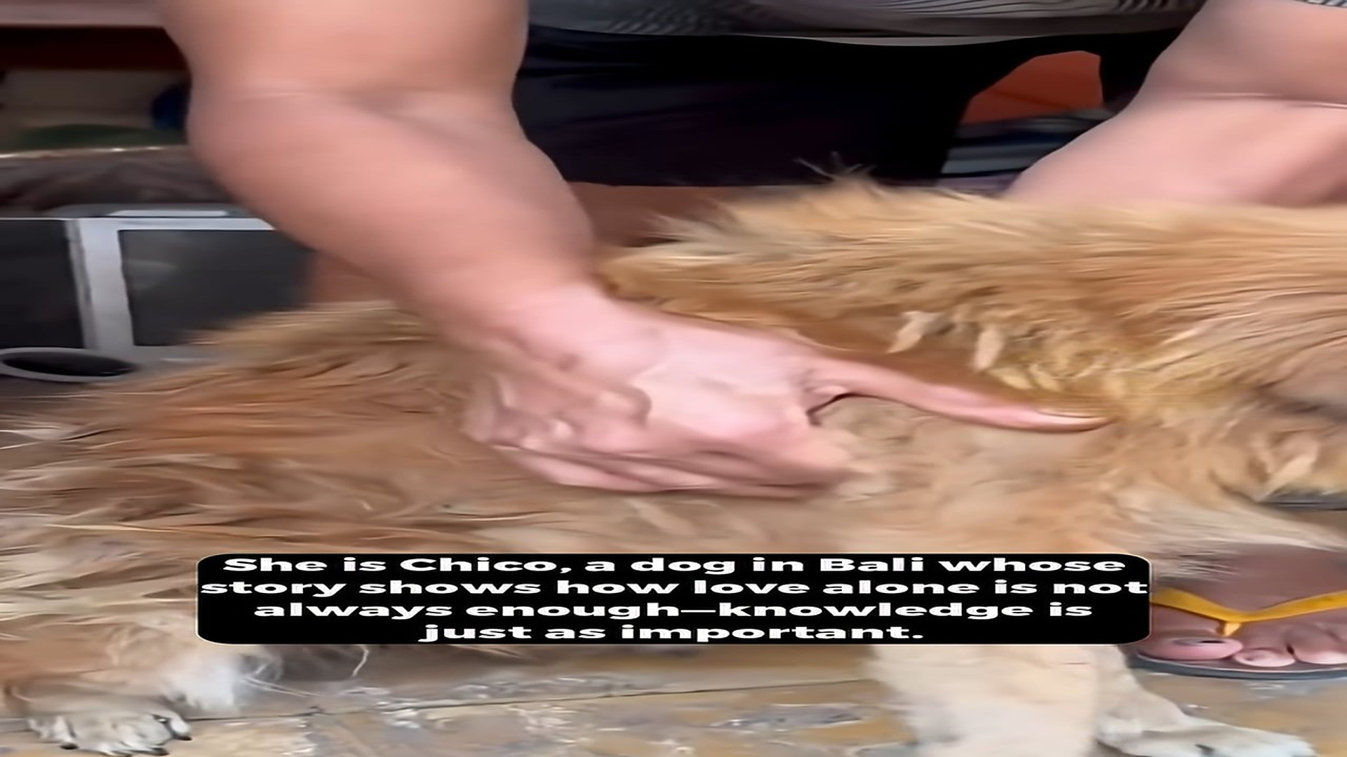 Full Video : H1708017_She Was Loved But Still In Pain Until Someone Showed Her Family How To Truly Care