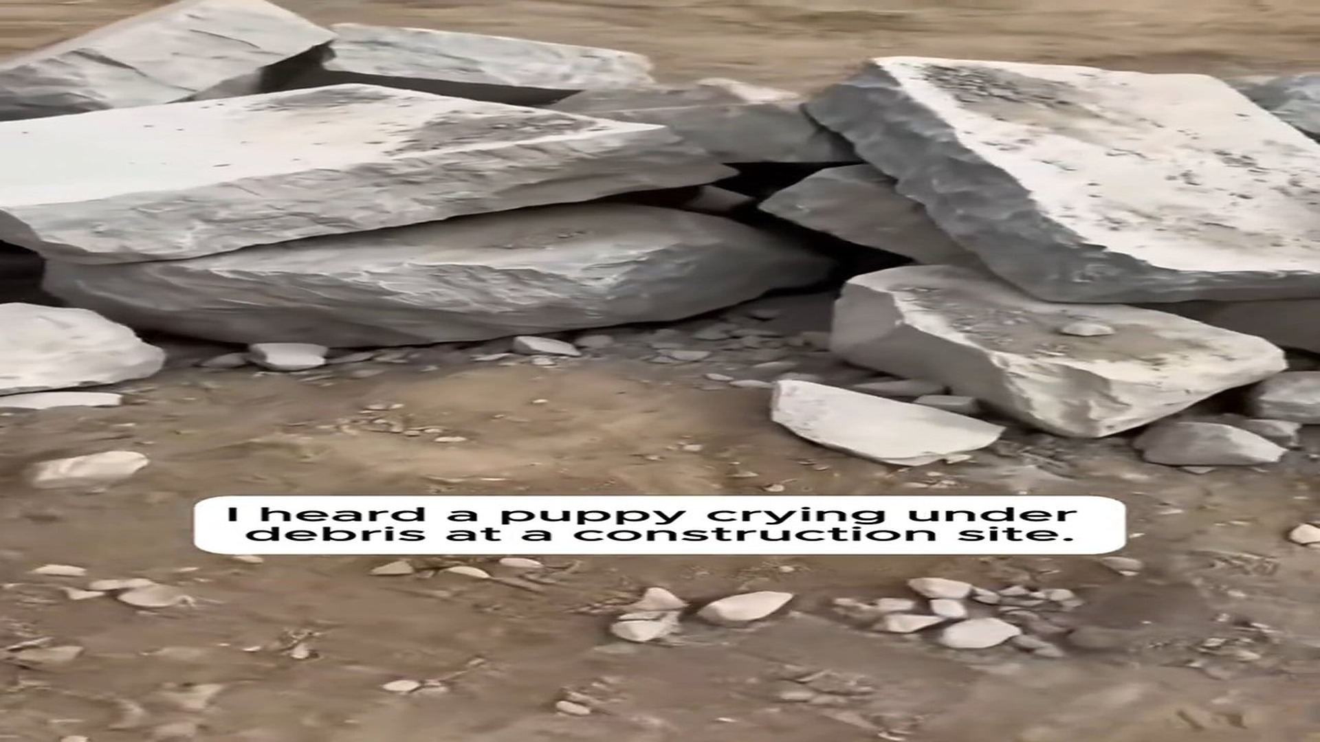 Full Video : H1808005_He Moved Heavy Stones To Save A Trapped Crying Puppy �#wholesome #res