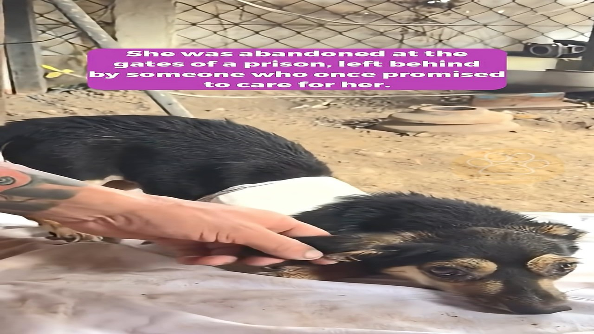 Full Video : H1808015_She Was Left Alone at the Prison Gate Yet Found Hope Where No One Expected It
